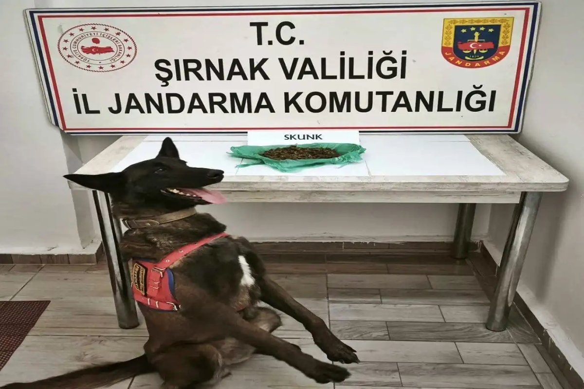 Şırnak'ta Kaçakçılık ve Güvenlik Operasyonları: 27 Kişi Gözaltında