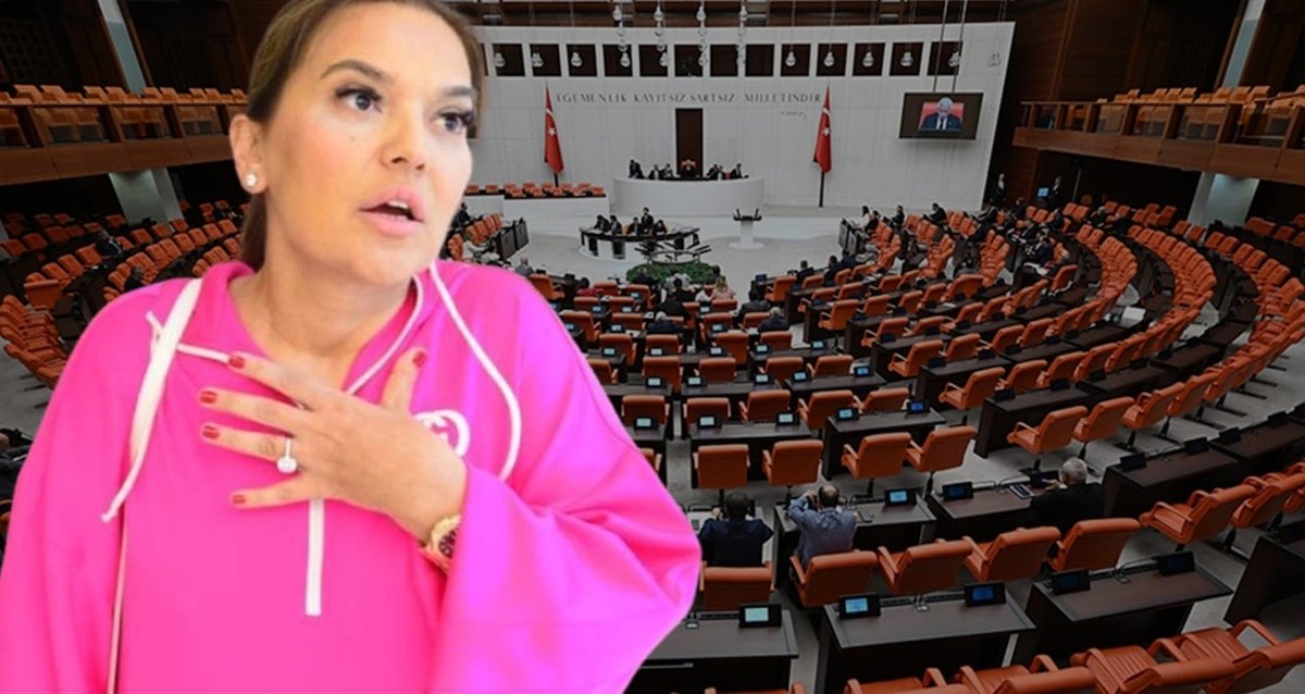 Demet Akalın, Meclis'teki Teklif Üzerine Tepki Gösterdi!