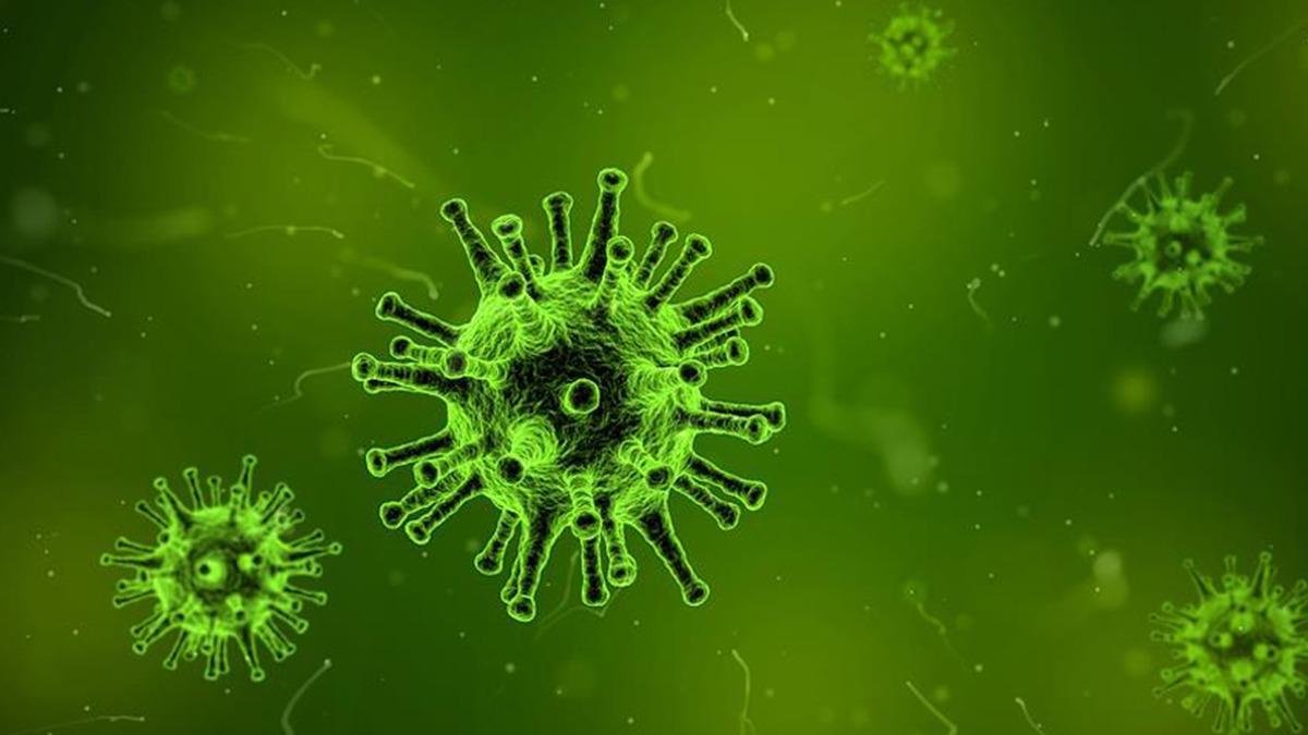 Tehlikeli Virüs Uyarısı! Nipah Hastalığı Vakaları Yükseliyor - GÜNDEM
