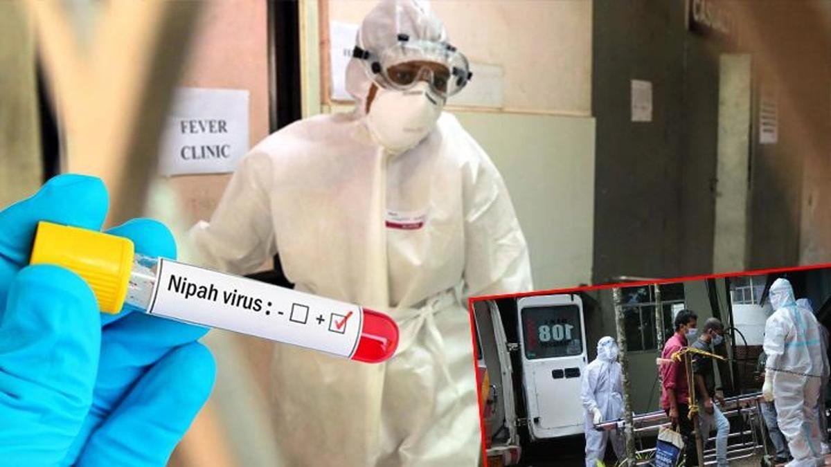 Covid'den Beş Kat Daha Güçlü! Nipah Virüsü Nereden Geldi?