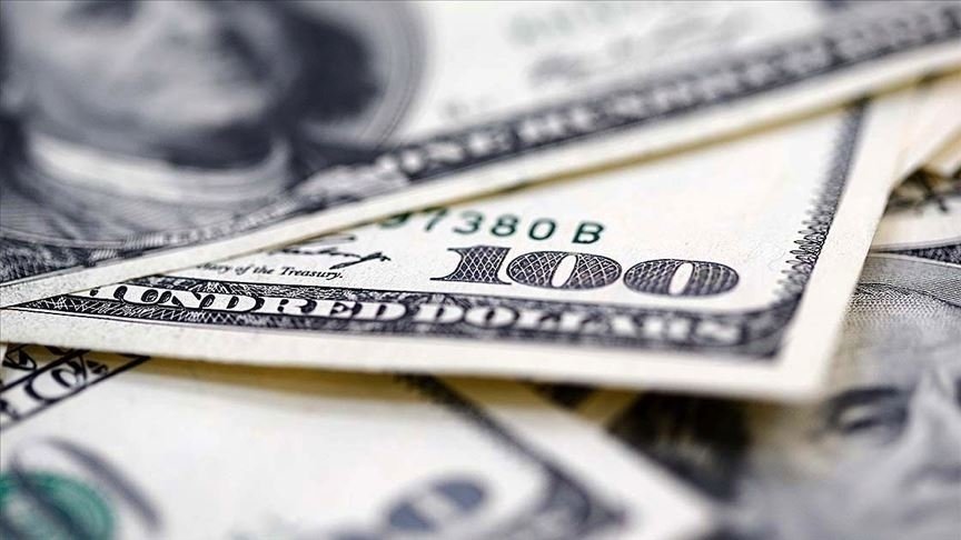 Ocak Ayında Reel Etkili Döviz Kuru Endeksi 102,17'ye Ulaştı