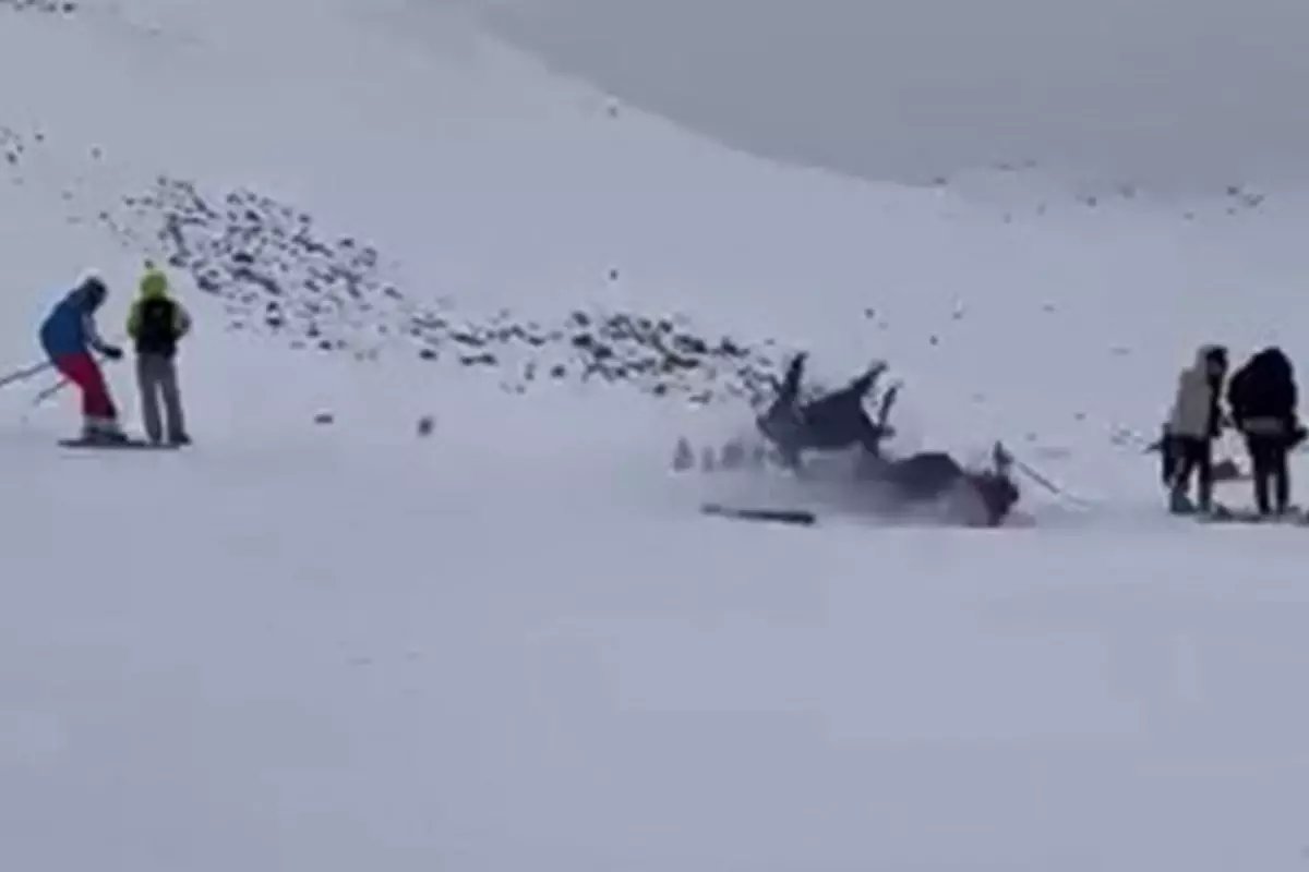 Bingöl Kayak Merkezinde Korkunç Kaza: Altı Kişi Yaralandı