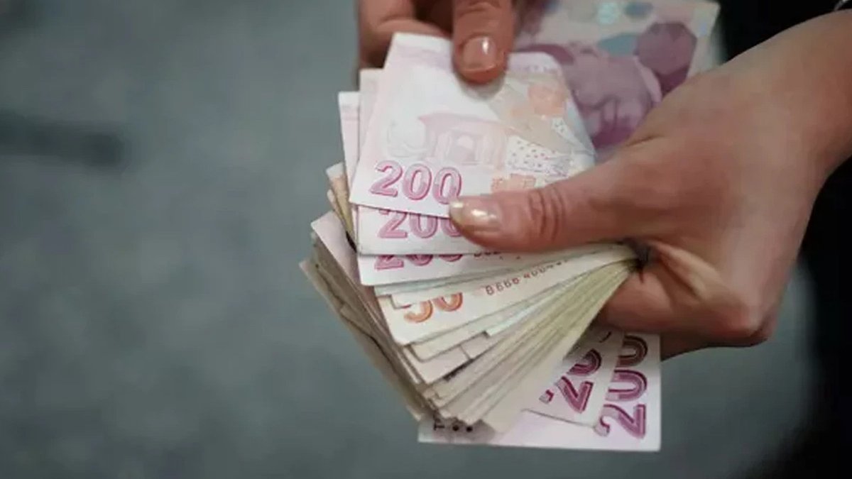 Tamamlayıcı Emeklilik Sistemi Hakkında Ayrıntılar Açıklandı