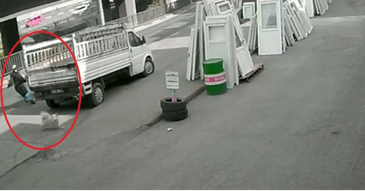 Korkunç Kaza! Köpekten Kaçan Üniversiteli Genç Kadın Yaralandı!