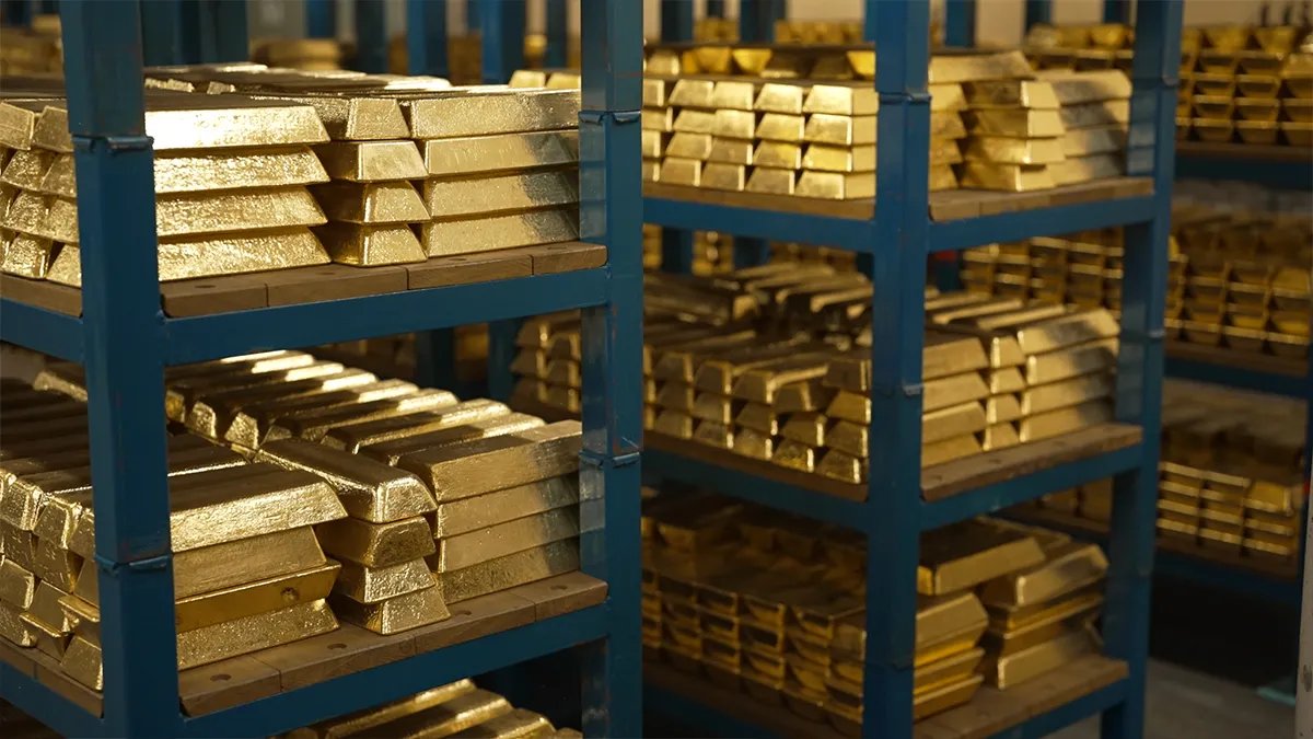 Dünyanın En Geniş Altın Stokuna Erişim Sağlandı! 60 Ülke Var