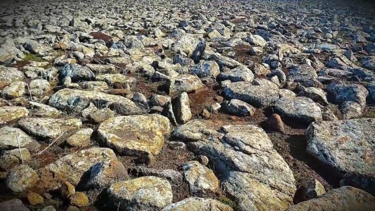 Şanlıurfa'da Volkanik Bazaltların Altında Cephanelik Bulundu, 8 Gözaltı