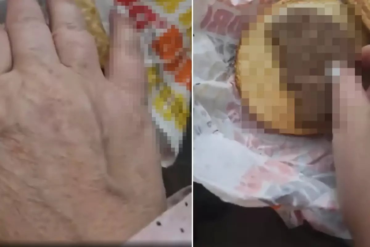 Hamburger Siparişi Veren Müşteri, Paketi Açınca Şok Oldu