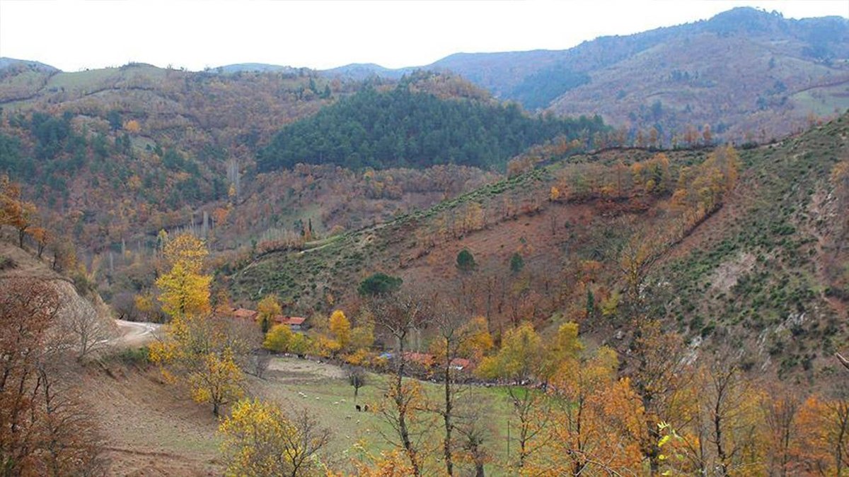 Çevre Dernekleri Açıkladı: Madra Dağı’nda Doğaya Zarar Verme İzni Verildi