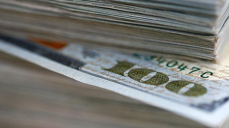 TCMB Döviz Satış İşlemlerine Resmen Adım Atıyor