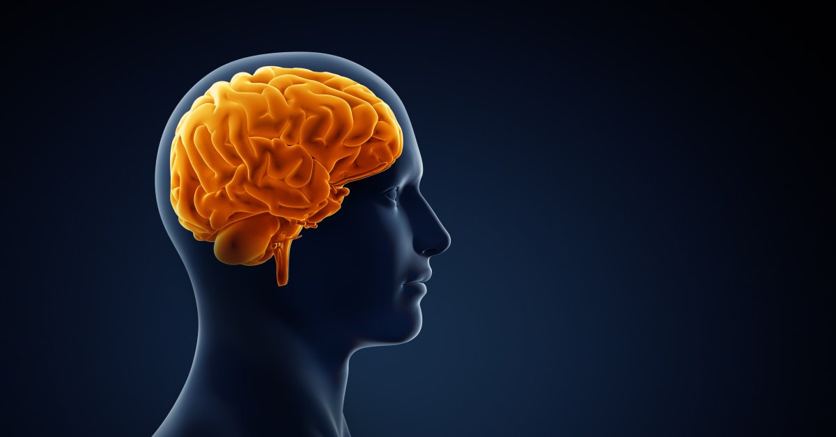 Alzheimer Tehlikesi Yüzde 45 Oranında Düşürülebiliyor