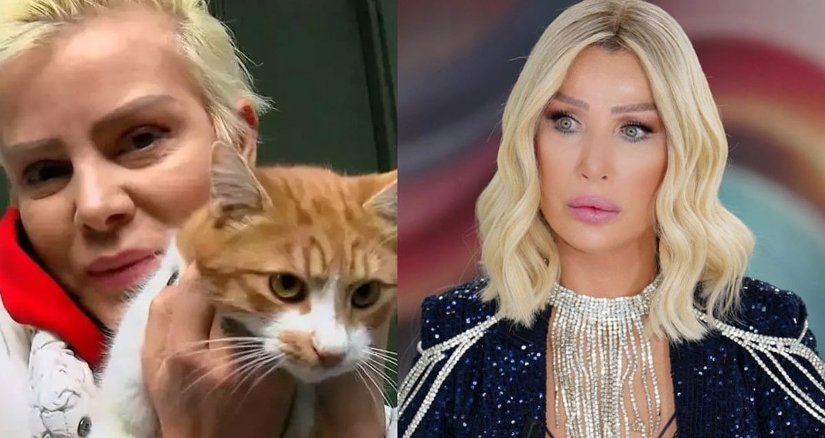 Canlı Yayında Gergin Anlar! Seda Sayan'dan Ömür Gedik'e Sert Tepkiler