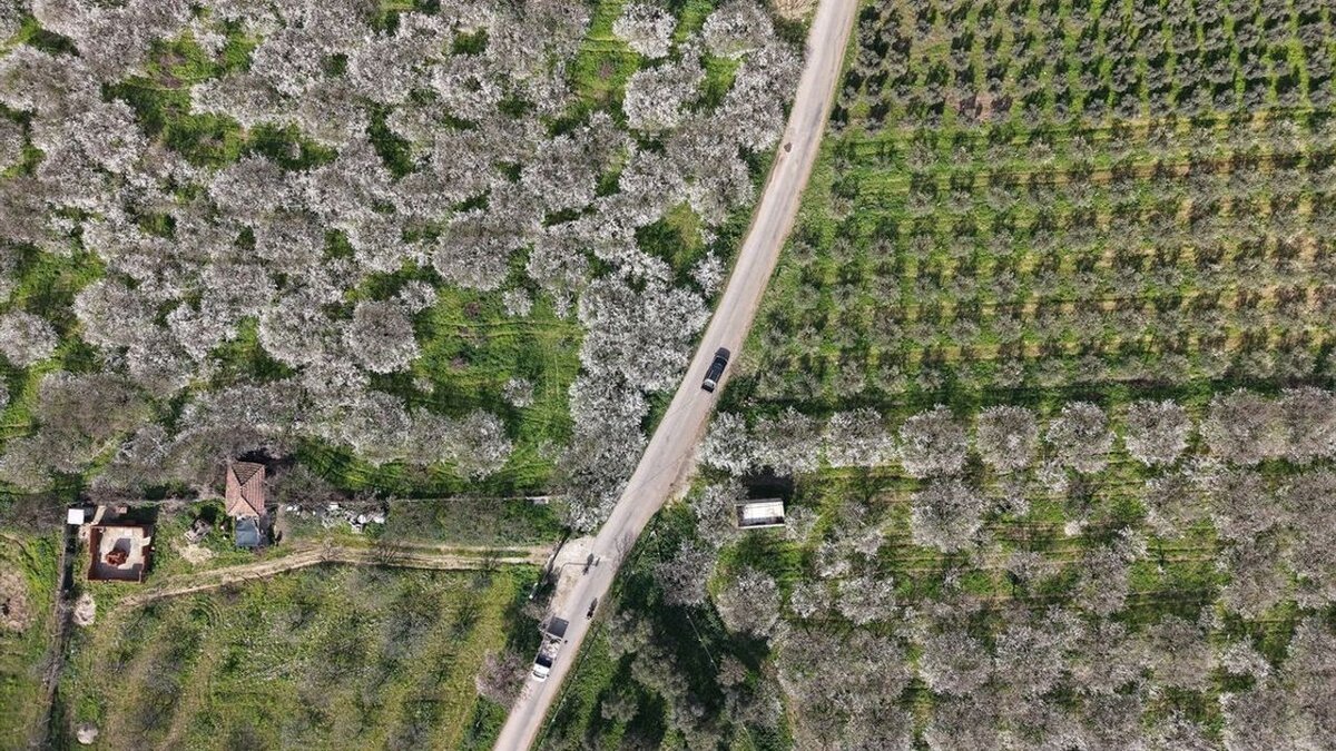 Gediz Çevresindeki Uşak ve Etrafındaki Etkileyici Doğal Güzellikler