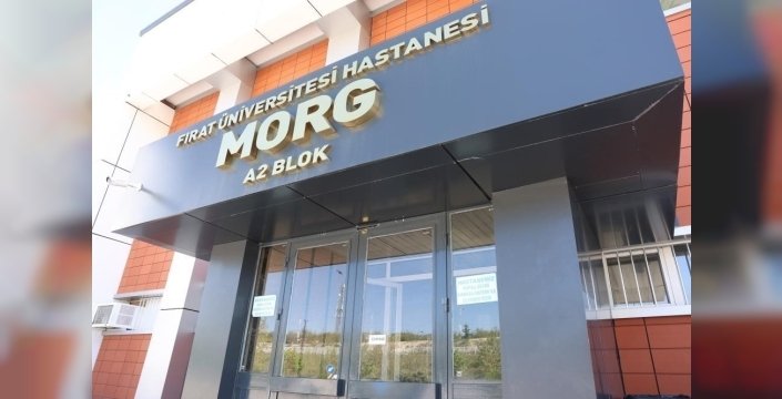 Elazığ'da Motosiklet Çarpması Sonucu Bir Kadın Hayatını Kaybetti