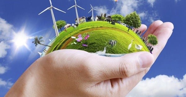 Çevreyi Korumak İçin Farkındalık ve Eylemde Dönüşüm Sağlamak