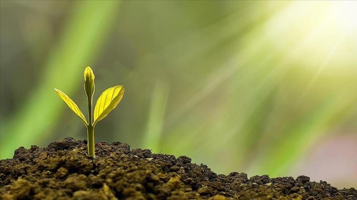 Türkiye'nin Global Ekoloji Hareketi: Sıfır Atık İnisiyatifi