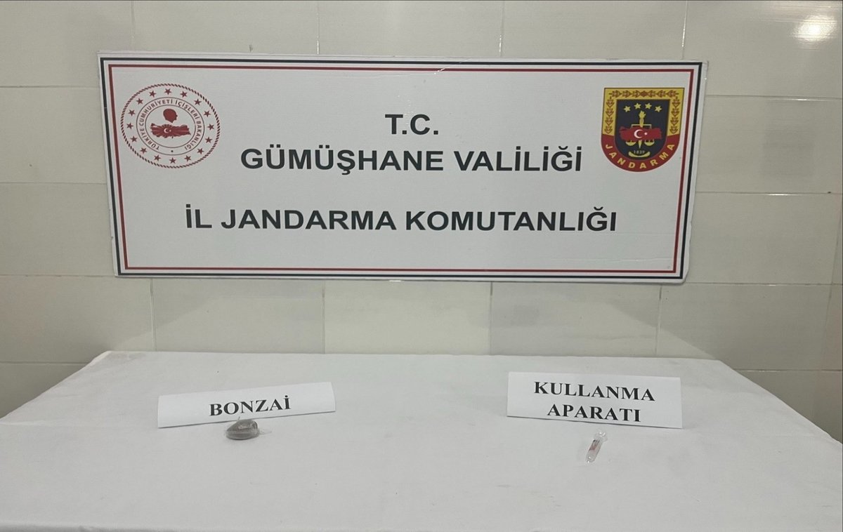 Gümüşhane'de Uyuşturucu Baskınında Bir Şüpheli Tutuklandı
