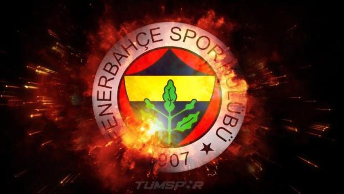 Fenerbahçe'nin Yeni Oyuncusu İstanbul'a Adım Attı