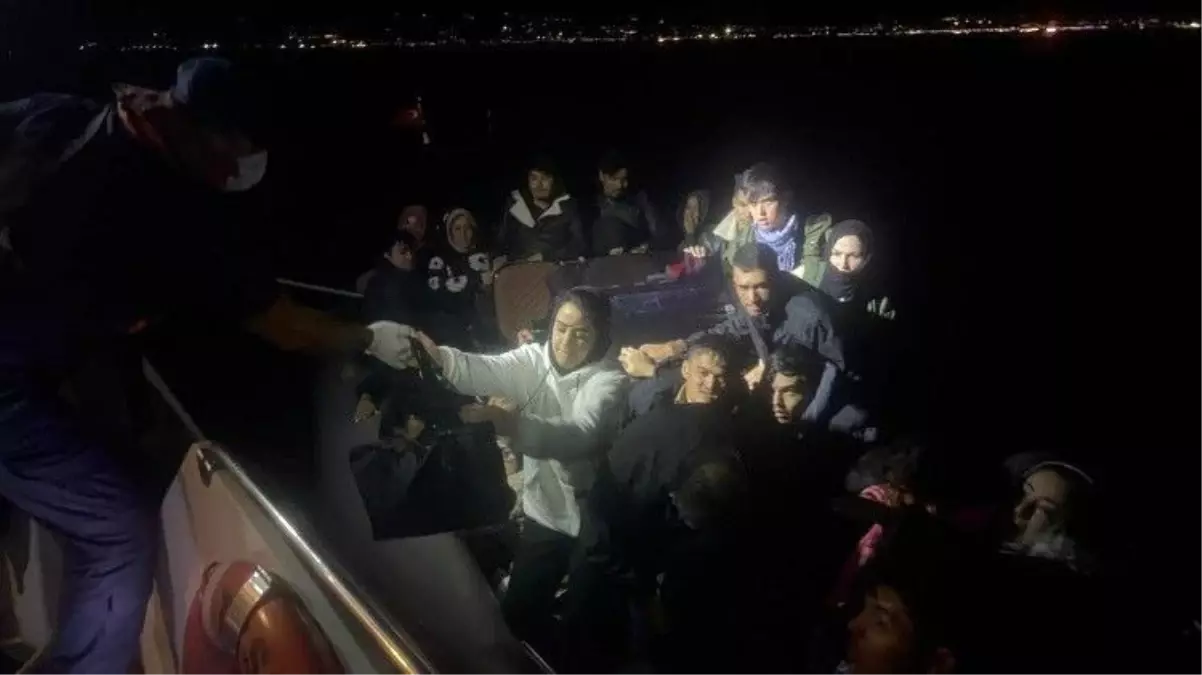 Bodrum'da 43 Kaçak Göçmen Ele Geçirildi