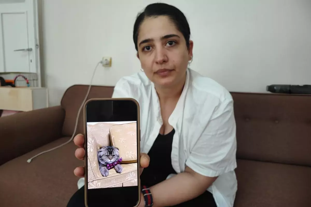 Kayıp Kedisi İçin 15 Bin Lira Ödül: Eşimden Boşanırım
