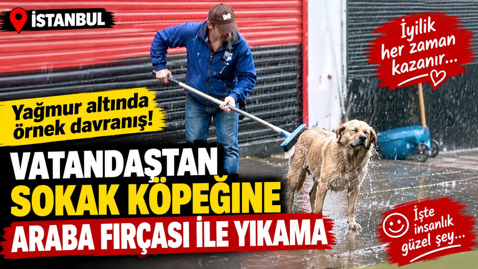 İstanbul’da Yağmur Altında İç Isıtan Görüntü Esnaf Köpeği Yıkadı