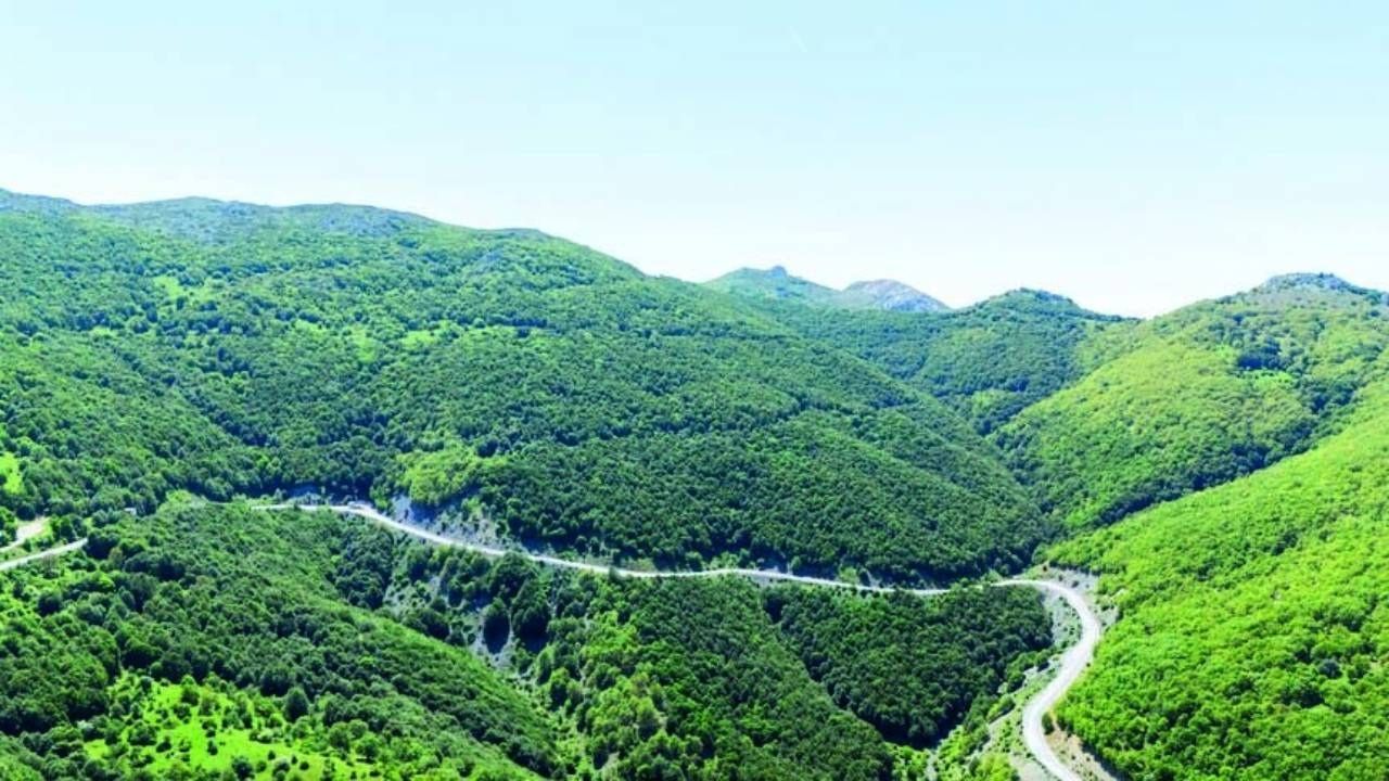 27 İlde Orman Sınırları Değişti: 4 Bin 300 Hektar Alan Çıkarıldı