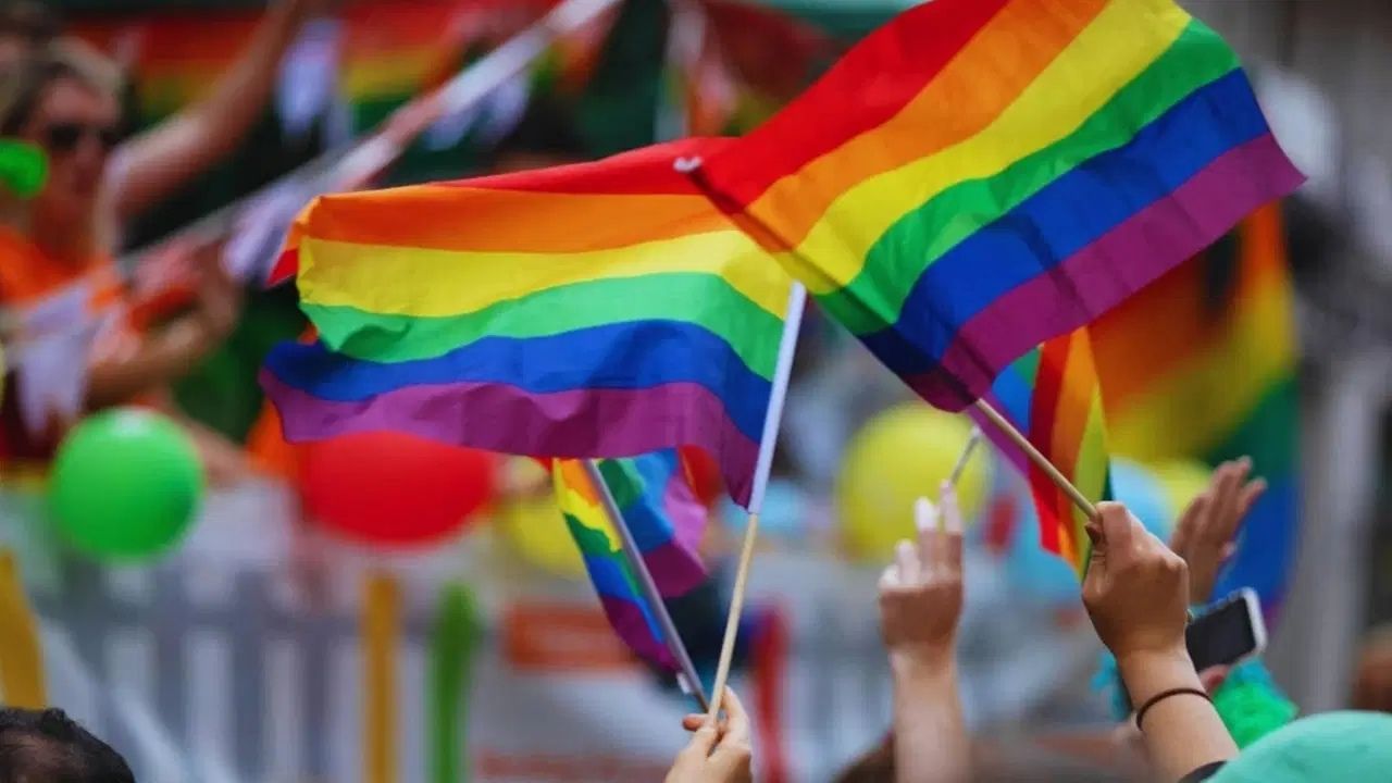 Dünyadan 450’yi Aşkın Kurumdan Türkiye İçin Ortak LGBTİ+ Çağrısı