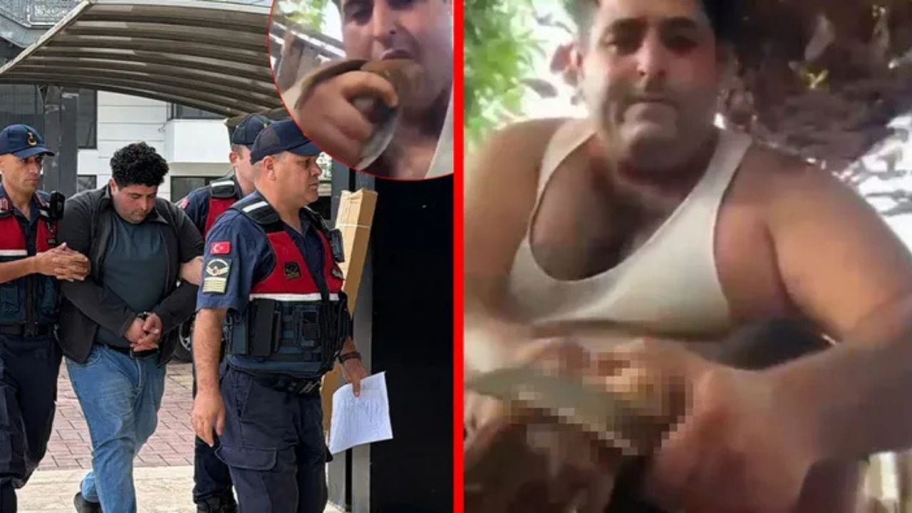 Antalya’da Kuşları Öldürüp Görüntüleyen Şüpheli Tutuklandı