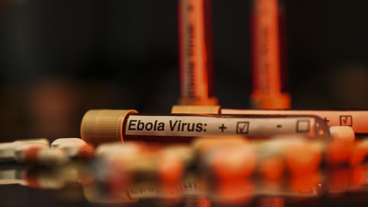 Nijerya’dan Ebola Alarmı Virüsün Yayılma Riski Gündemde
