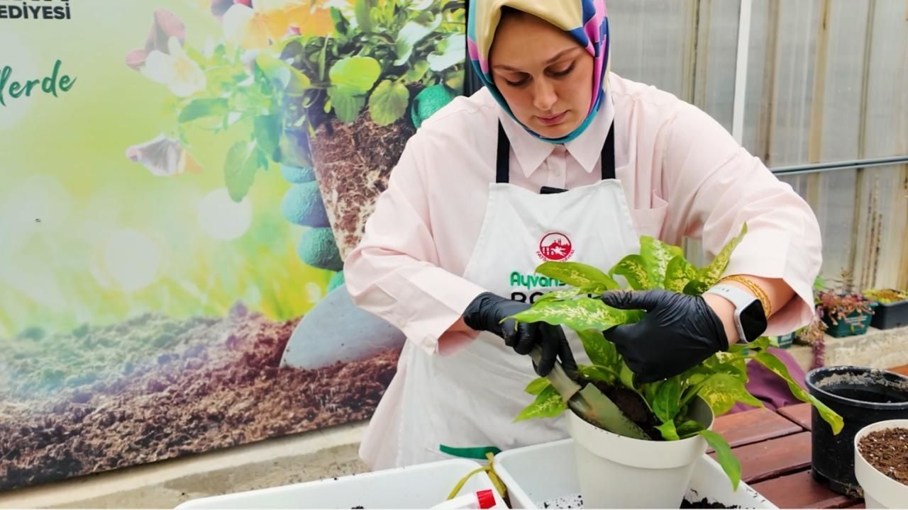 İstanbul’da Bitki Hastanesi: Solan Çiçeklere Yeniden Hayat Veriliyor