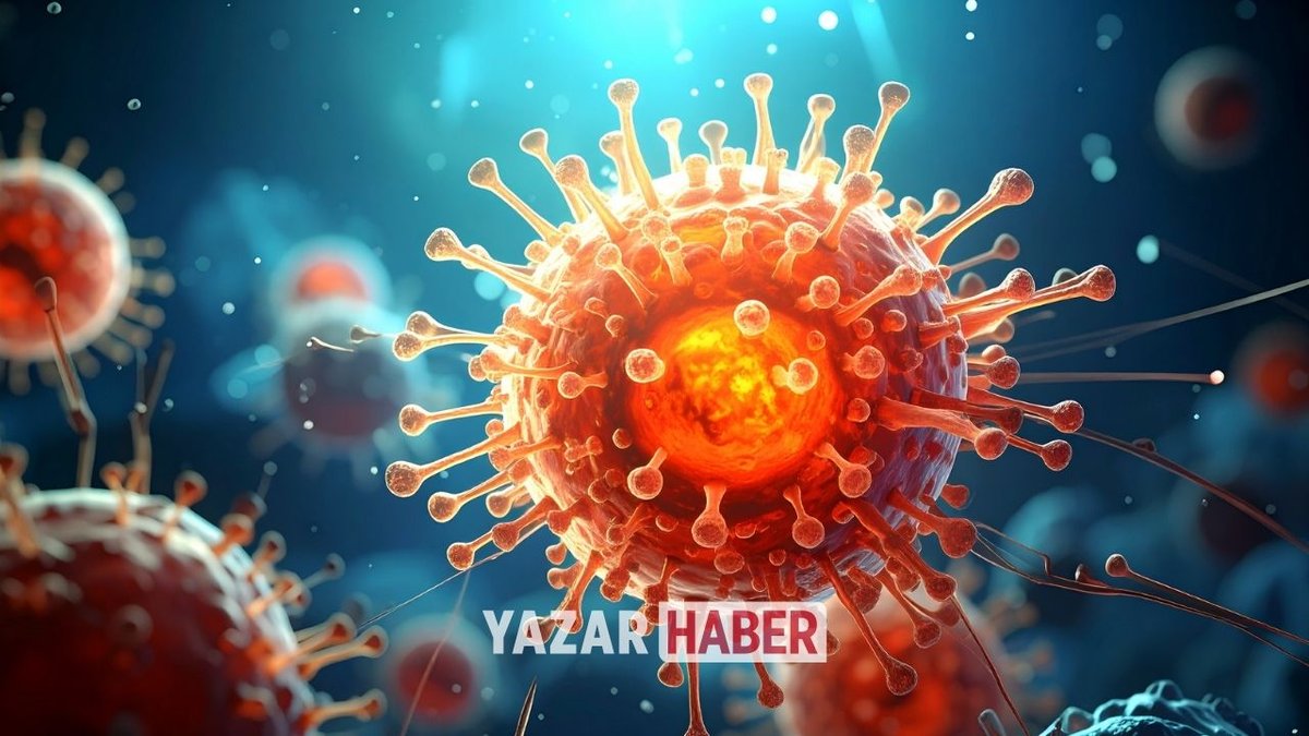 Nipah Virüsü Nedir, Nasıl Bulaşır? Belirtileri ve Türkiye’de Durum Hakkında Güncel Bilgiler