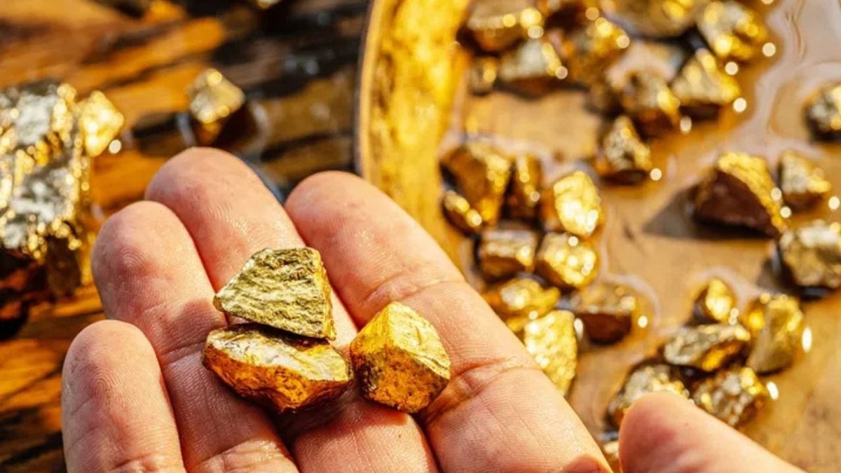 Dünyanın “altın mutfağı” keşfedildi: Yer altındaki gizli üretim sistemi çözüldü
