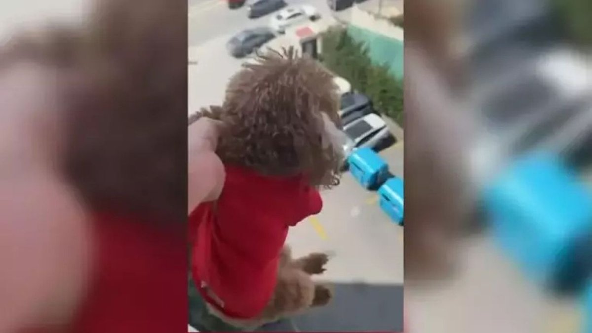 Başakşehir’de Skandal Olay: Kadın, Köpeğini Pencereden Sarkıtarak Cama Vurdu, Tepkiler Çığ Gibi Büyüdü