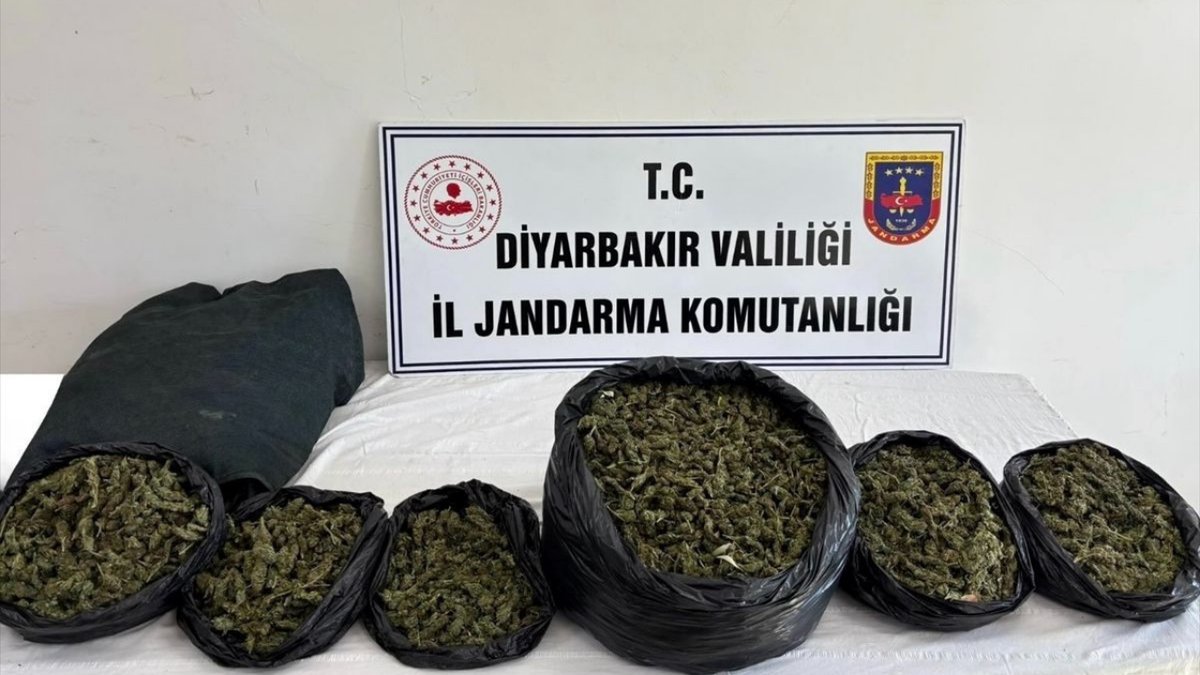 Diyarbakır’da Uyuşturucuya Geçit Yok 119 Operasyonda Kilolarca Esrar Ele Geçirildi