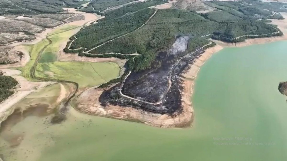 Tekirdağ’da Orman Yangını Paniği Alevler 80 Dekarlık Alanı Etkiledi