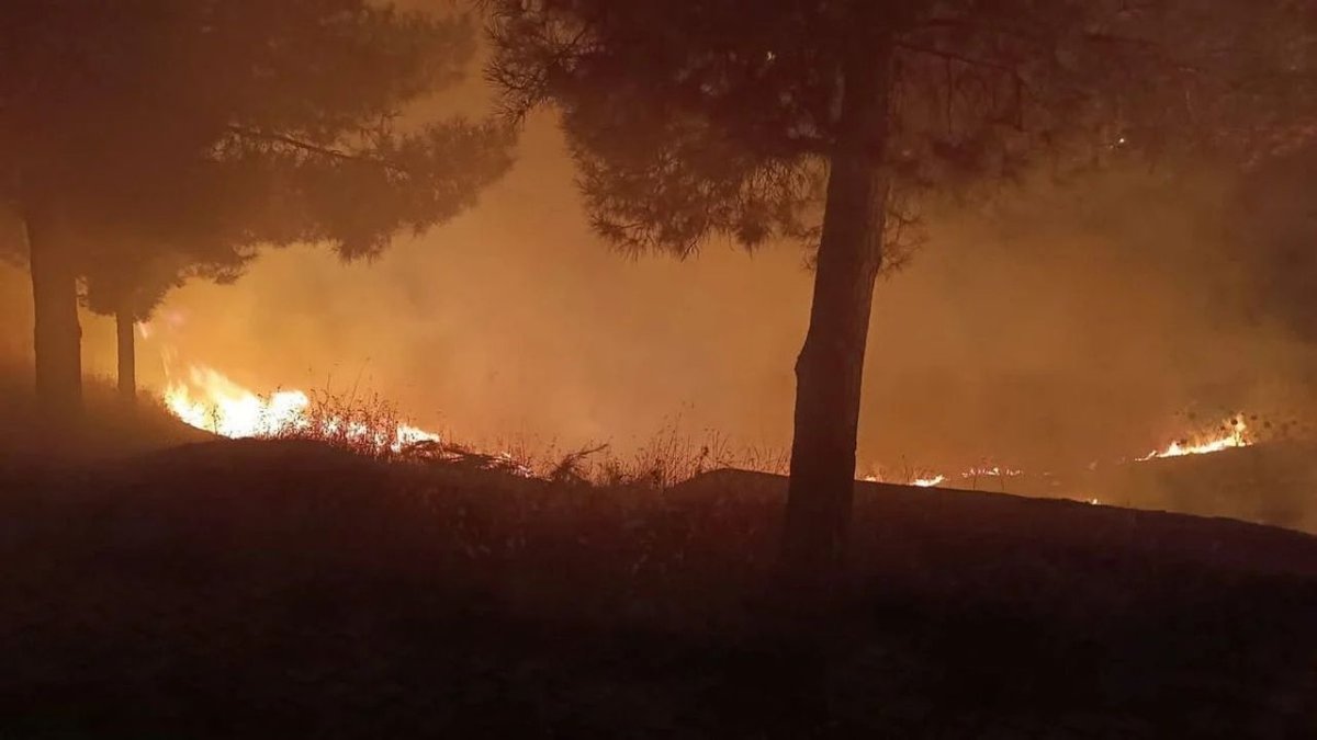 Siirt’te Mezarlık Alanında Yangın Paniği: Alevler Büyümeden Söndürüldü