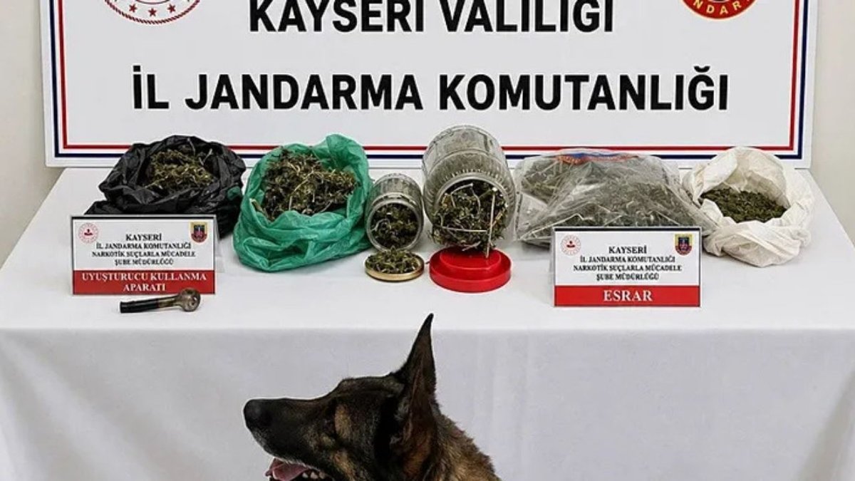 Kayseri’de Uyuşturucu Operasyonu: 1,2 Kilo Esrar Ele Geçirildi