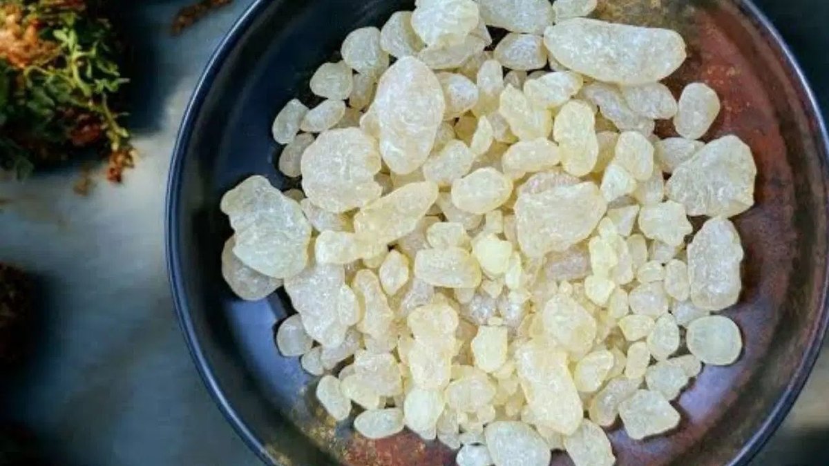 Çeşme Damla Sakızı Bilimsel Çalışmayla Uluslararası Arenada Dikkat Çekiyor