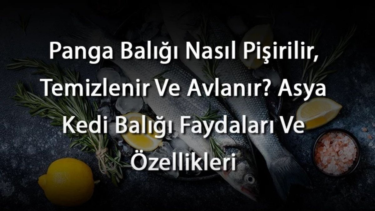 Panga Balığı Nedir, Nasıl Pişirilir ve Temizlenir? Asya Kedi Balığı Hakkında Bilgiler