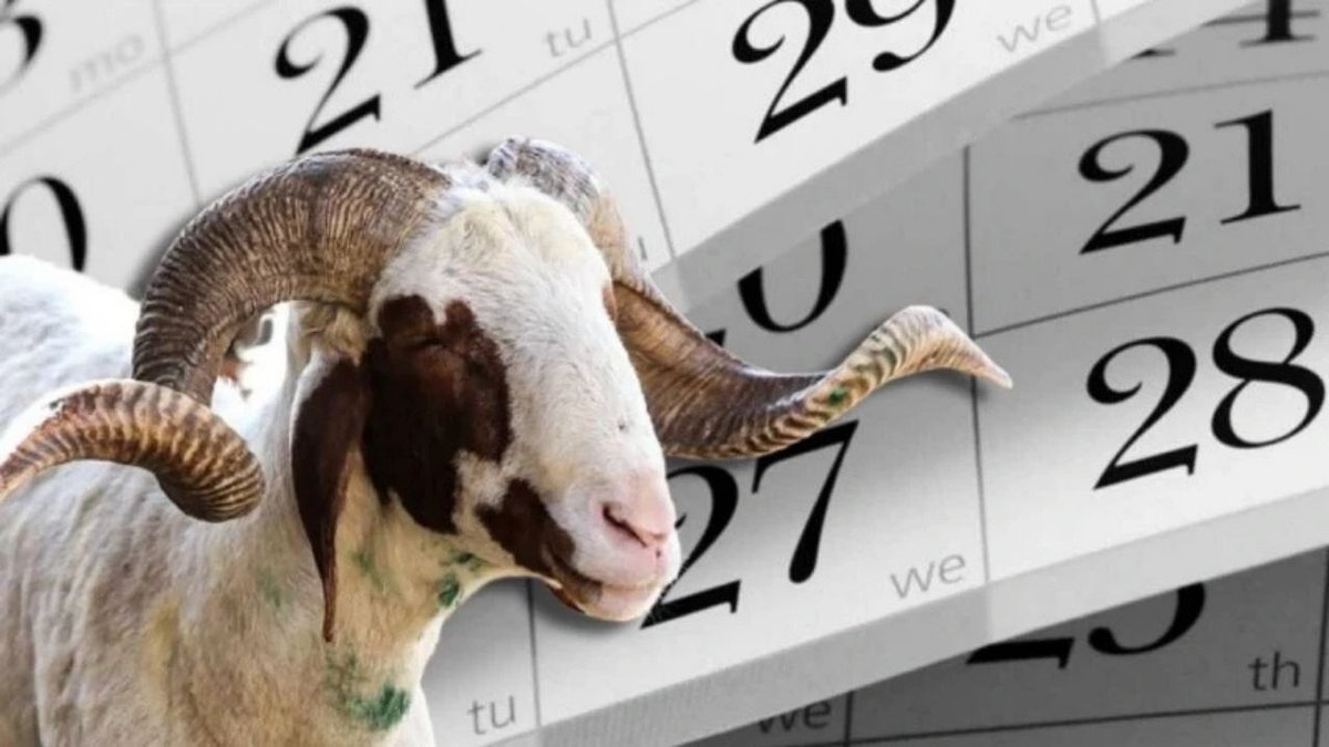 2026 Kurban Bayramı Tatili 9 Gün: Kamu Çalışanları İçin İdari İzin Detayları Açıklandı