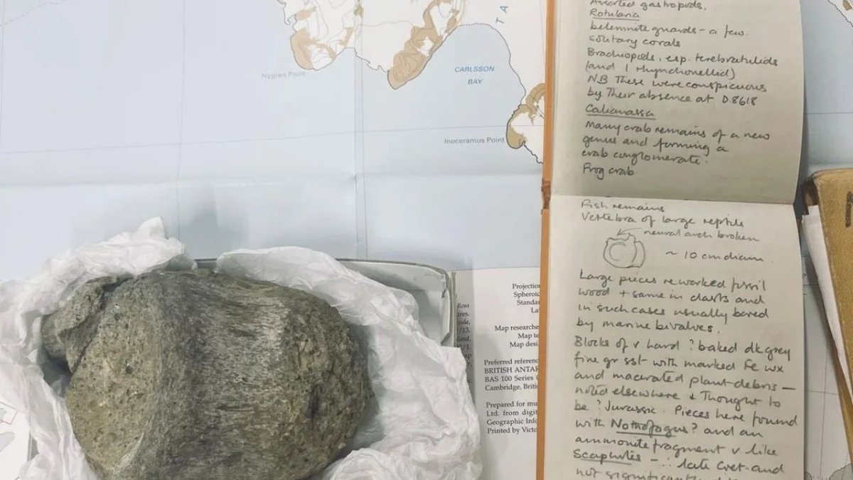 Antarktikada 40 Yıl Sonra Ortaya Çıkan Dinozor Fosili Kıta Tarihini Yeniden Yazdırıyor