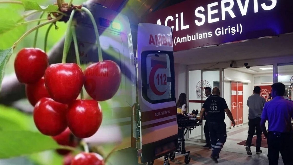 Kiraz Sonrası Gelen Acı Son Araştırmaların Odağında Tarım İlacı Şüphesi