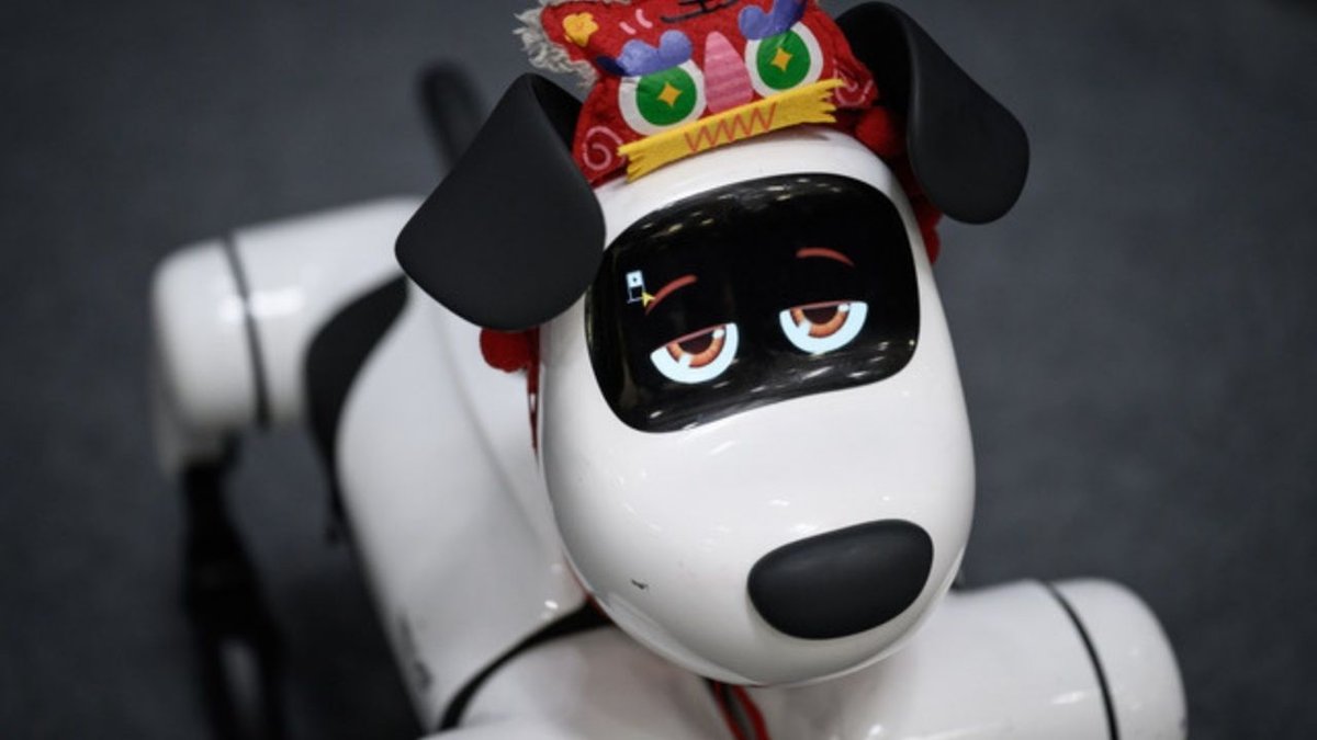 Geleceğin Teknolojileri Çin’de Sergilendi Robotlar Büyük İlgi Gördü