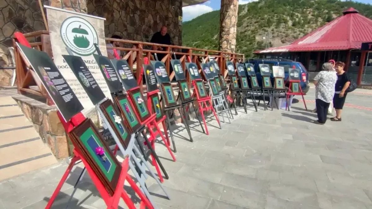 14. LAMES Bilim, Kültür Ve Sanat Şenliği Torul’da Gerçekleştirildi