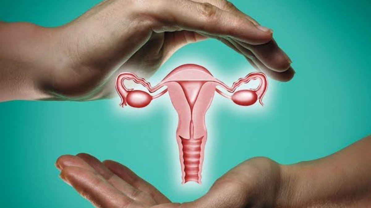 Rahim Ağzı Kanseri (Serviks Kanseri) ve HPV İlişkisi