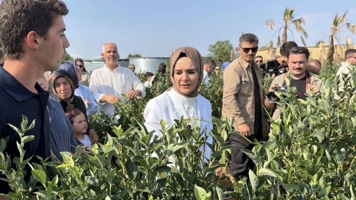Bakan Göktaş Düzce’de yaban mersini bahçesini ziyaret etti: “Yeni nesil tarımın güzel örneği”