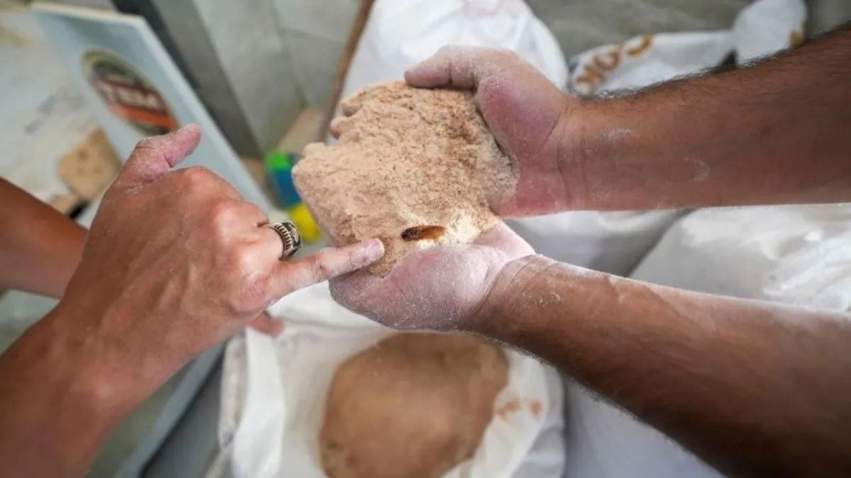 Mersin’de Un Fabrikasında 30 Ton Bozuk Un Ele Geçirildi