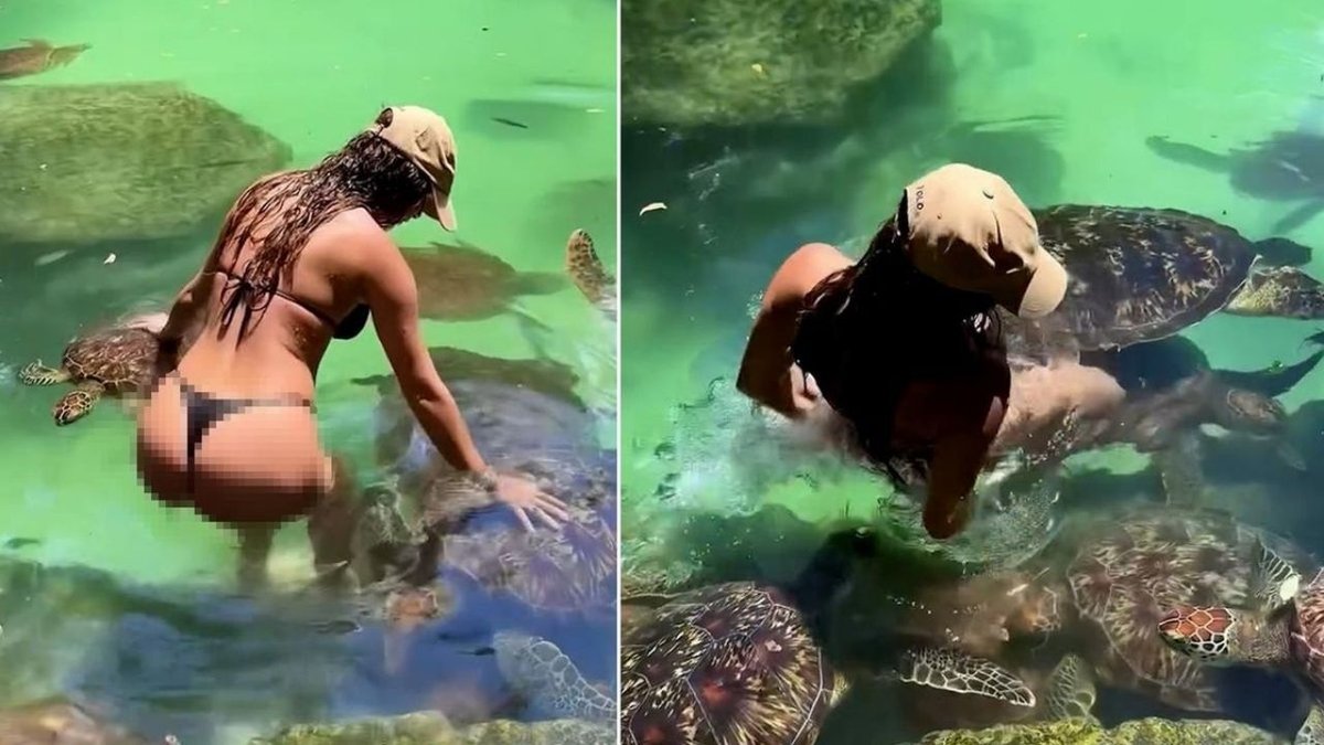 Ünlü Modelin Deniz Kaplumbağalarıyla Yüzme Keyfi Korkuyla Sonlandı