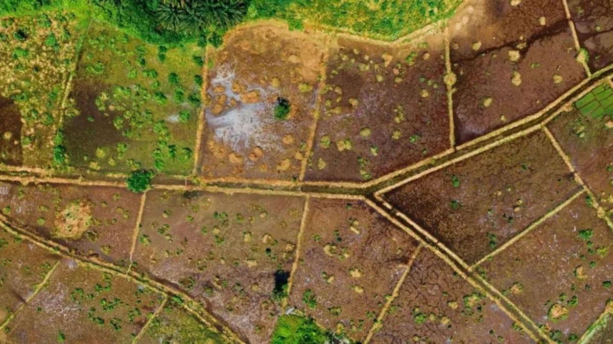 Bu Şehirlerden Arsa Sahibi Olanlar Kazandı! Bir Yerde Yüzde 90 Artış Var: İşte İl İl Değerini Yükselten Arsalar