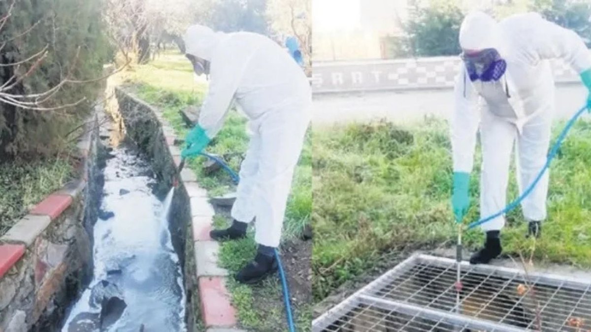 Turizm Alanlarında Sivrisinek Kontrolü: 9 İlde Geniş Temizlik Uygulaması