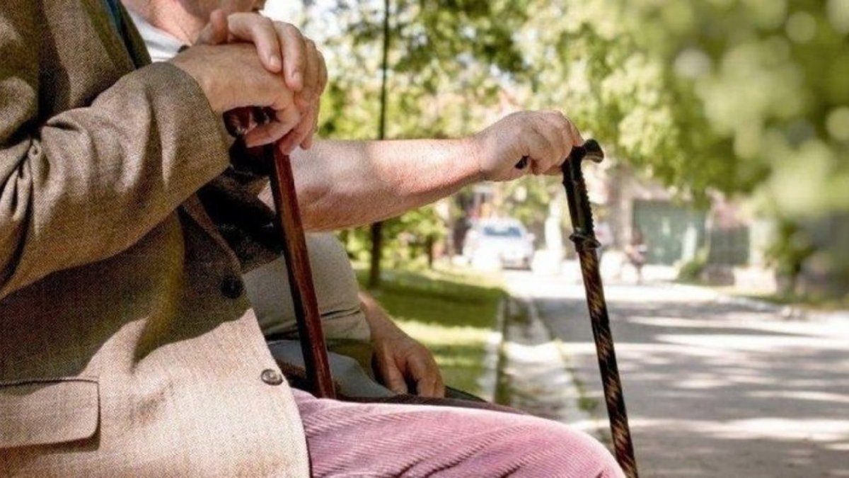 TİGEM 2026 Safkan Arap Tayları İçin Satış Programı Duyuruldu